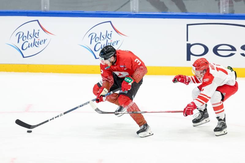 Ice Hockey. Friendly Match. Poland - Hungary. 12.04.2024