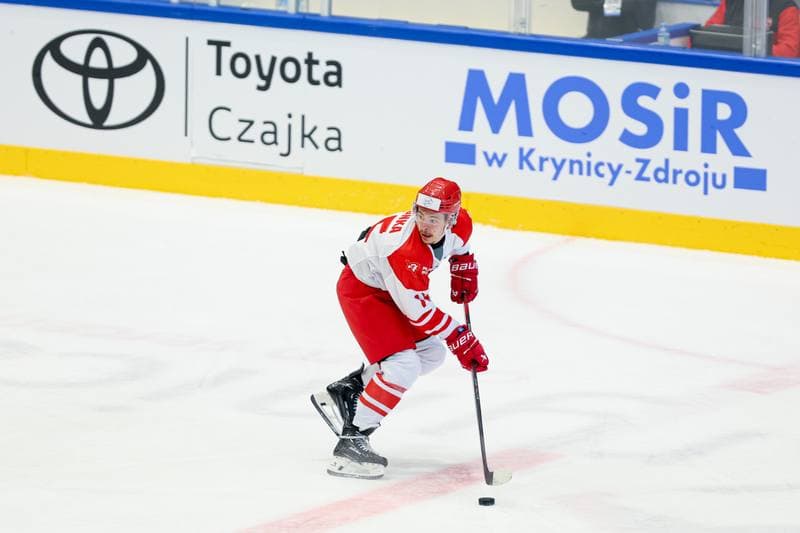 Ice Hockey. Friendly Match. Poland - Hungary. 13.04.2024