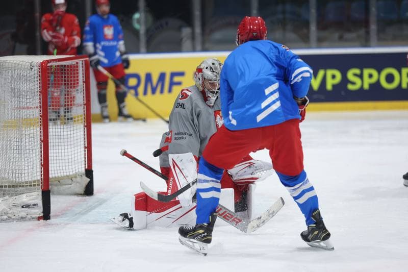 Ice Hockey. Poland national team. Training. 17.04.2024