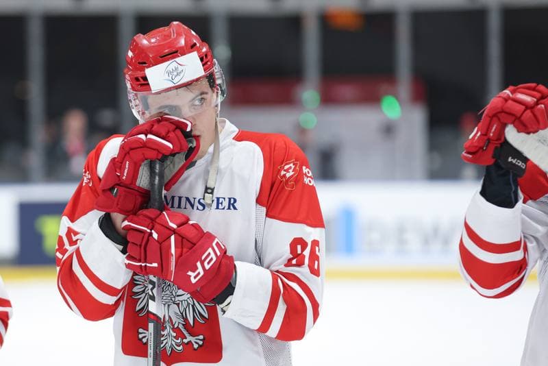Ice Hockey. Friendly Match. Poland - Slovenia. 18.04.2024
