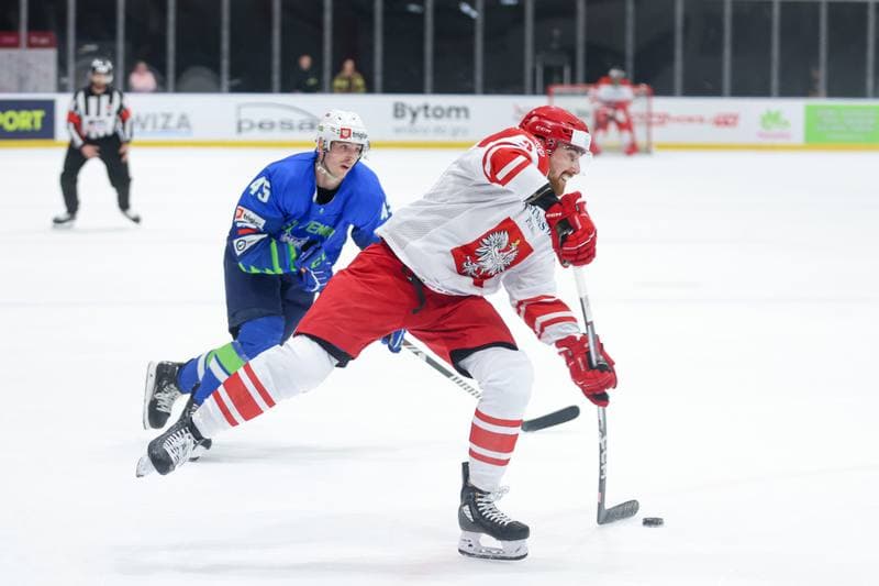 Ice Hockey. Friendly Match. Poland - Slovenia. 19.04.2024