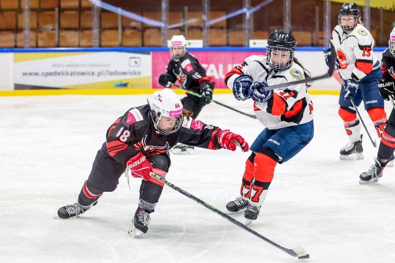 Ice Hockey. EWHL. Tauron Metropolia Silesia - Aisulu Almaty. 26.11.2023