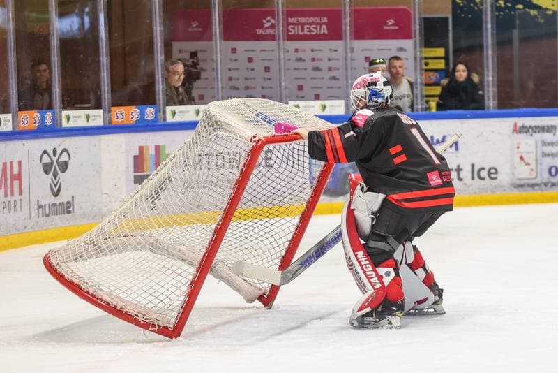 Ice Hockey. EWHL. Tauron Metropolia Silesia - Aisulu Almaty. 26.11.2023