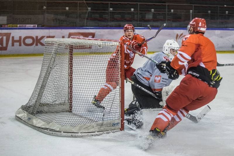 Ice Hockey. Poland national team. Training. 13.04.2021