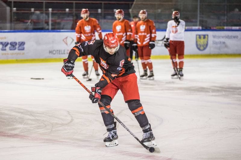 Ice Hockey. Poland national team. Training. 15.04.2021