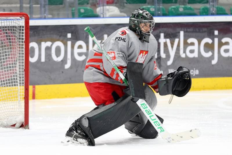 Ice Hockey. Poland national team. Training. 03.02.2024