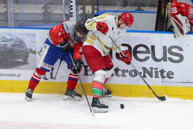Ice Hockey. Tauron Hokej Liga. Zaglebie Sosnowiec - Marma Ciarko STS Sanok. 23.02.2024