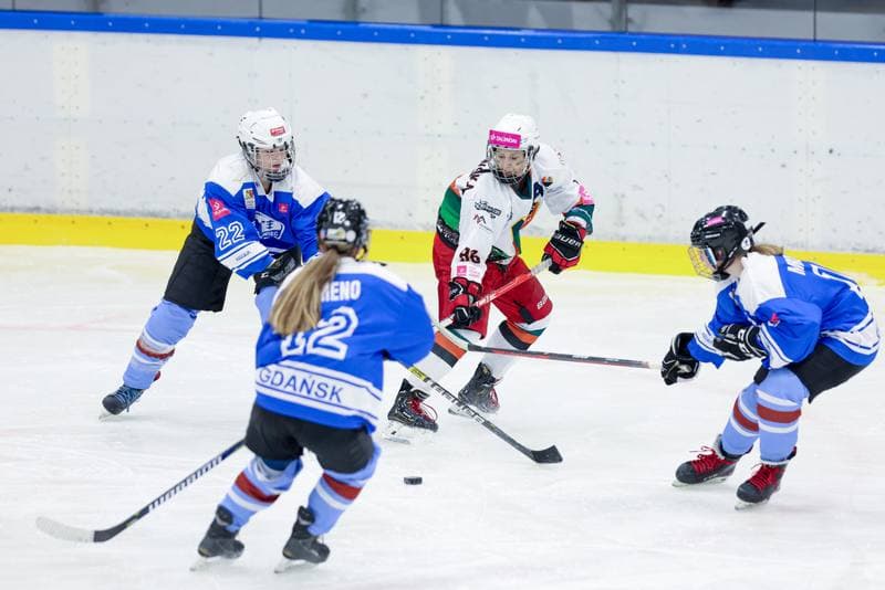 Ice Hockey. Tauron Liga. Kojotki Naprzod Janow - Stoczniowiec Gdansk. 24.02.2024