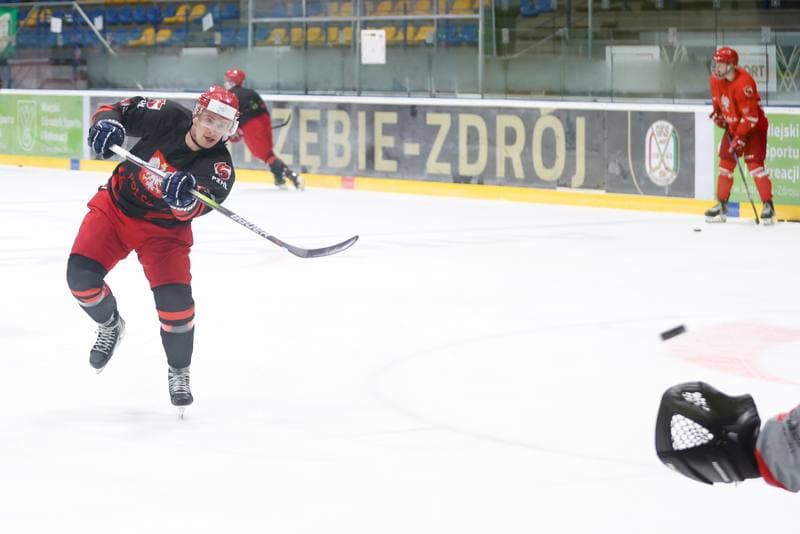 Ice Hockey. Poland national team. Training. 02.04.2024