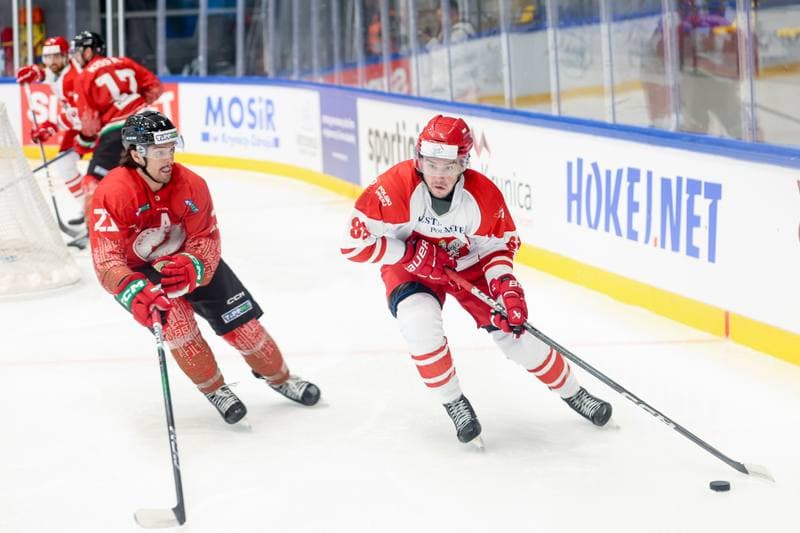 Ice Hockey. Friendly Match. Poland - Hungary. 12.04.2024