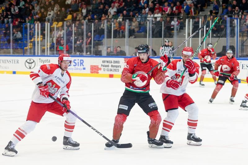 Ice Hockey. Friendly Match. Poland - Hungary. 12.04.2024