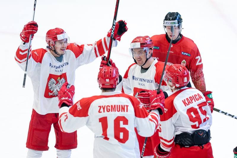 Ice Hockey. Friendly Match. Poland - Hungary. 13.04.2024