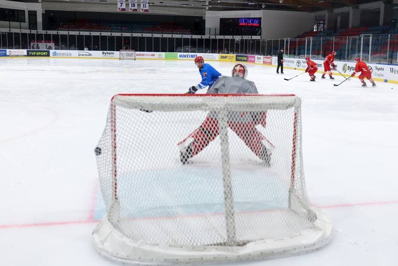 Ice Hockey. Poland national team. Training. 17.04.2024