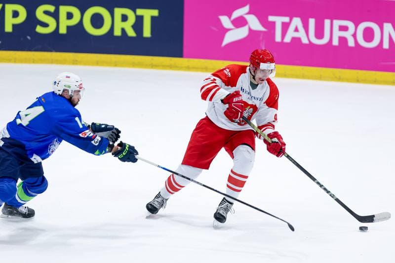 Ice Hockey. Friendly Match. Poland - Slovenia. 18.04.2024