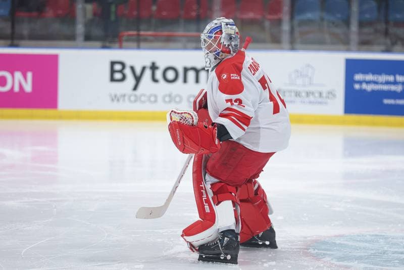 Ice Hockey. Friendly Match. Poland - Slovenia. 18.04.2024