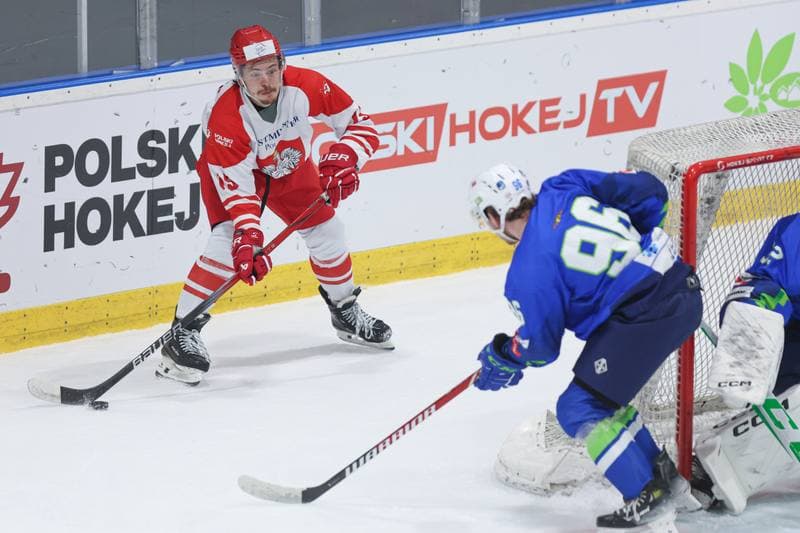 Ice Hockey. Friendly Match. Poland - Slovenia. 18.04.2024