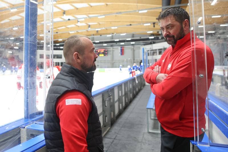Ice Hockey. Friendly Match. Poland - Slovenia. 19.04.2024
