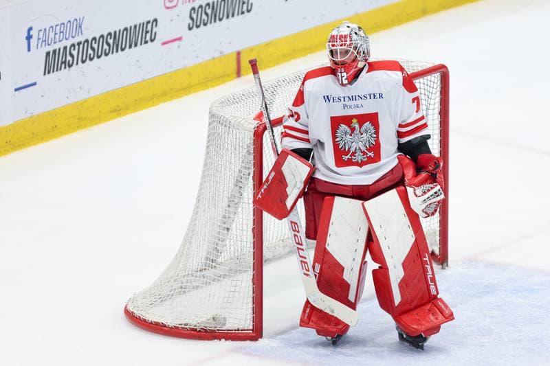 Ice Hockey. Friendly Match. Poland - Denmark. 07.05.2024