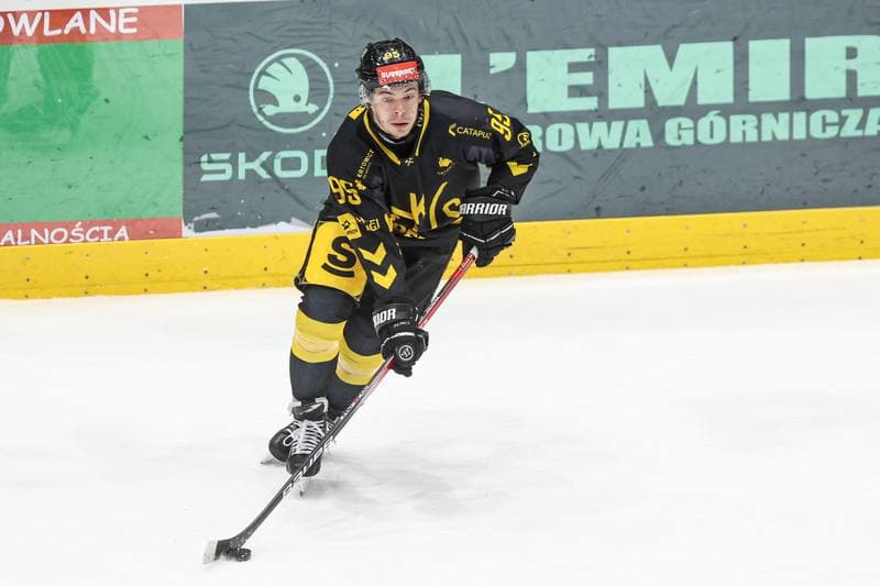 Ice Hockey. Tauron Hokej Liga. EC Bedzin Zaglebie Sosnowiec - GKS Katowice. 01.12.2024