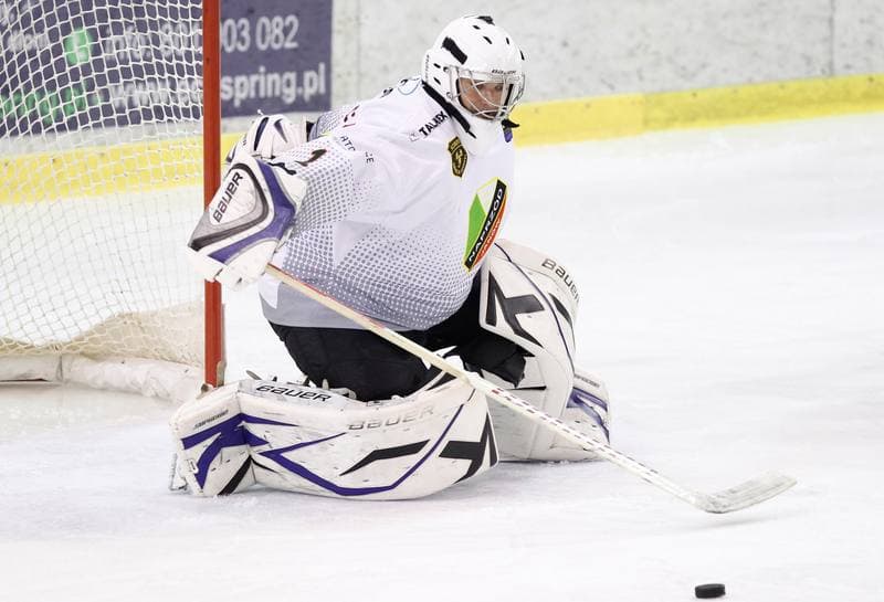 Ice Hockey. Polska Hokej Liga. Naprzod Janow - Polonia Bytom. 09.10.2014