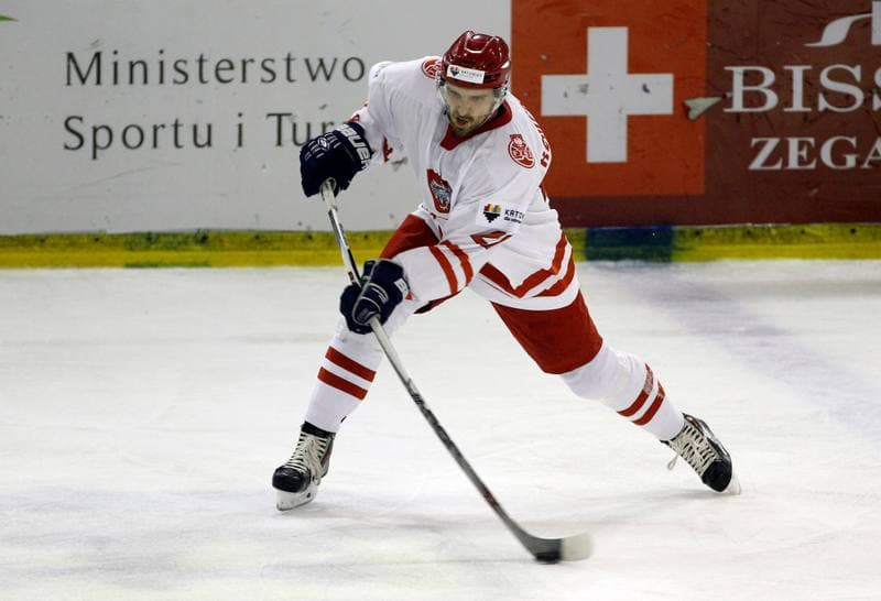 Ice Hockey. Euro Ice Hockey Challenge. Poland - Slovenia. 05.11.2015
