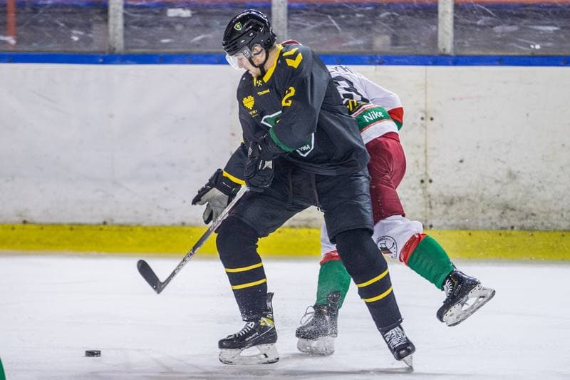 Ice Hockey. PHL. Zaglebie Sosnowiec - GKS Katowice. 25.01.2022