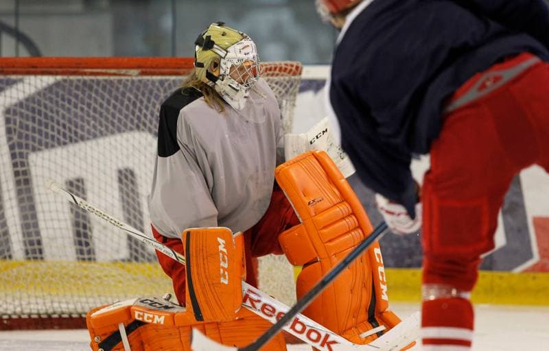 Ice Hockey. Poland national team. Training. 14.04.2015