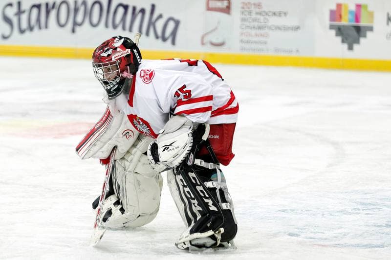 Ice Hockey. Women's Friendly Match. Poland - Hungary. 05.02.2016