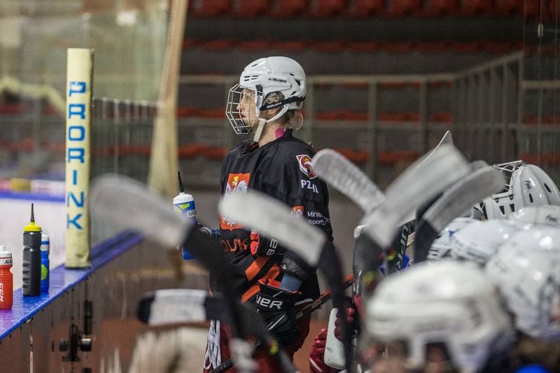 Ice Hockey. Poland national team. Training. 31.03.2022