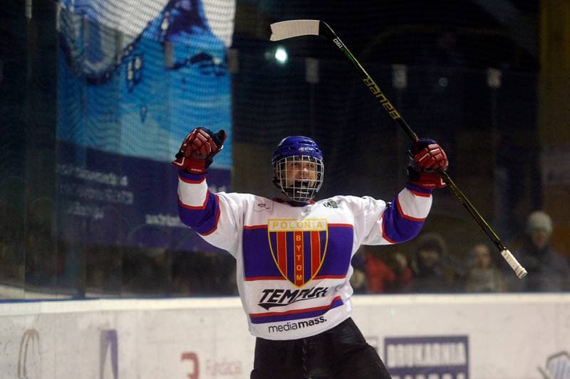Ice Hockey. Polska Hokej Liga. Tempish Polonia Bytom - Comarch Cracovia Krakow. 09.12.2016