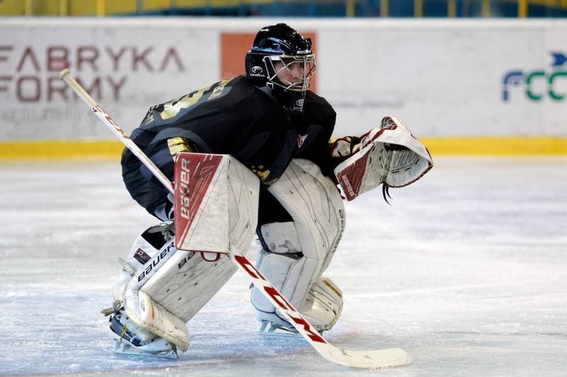 Ice Hockey. Sparing. Polonia Bytom - Comarch Cracovia. 15.08.2017