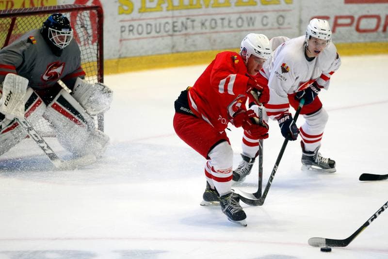 Ice Hockey. Poland U20. Training. 06.11.2018