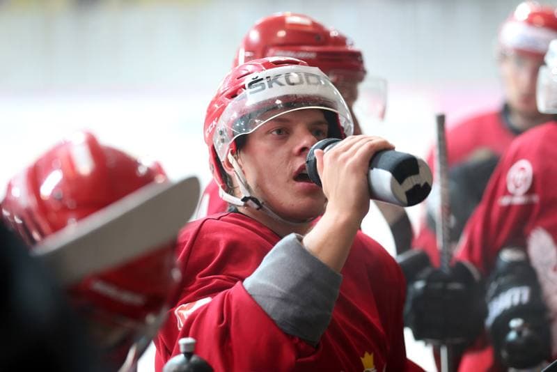Ice Hockey. Poland national team. Training. 20.08.2018