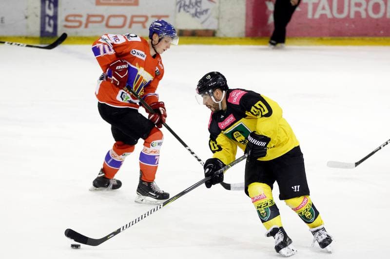 Ice Hockey. Polska Hokej Liga. Tauron KH GKS Katowice - Weglokoks Kraj Polonia Bytom. 08.01.2019