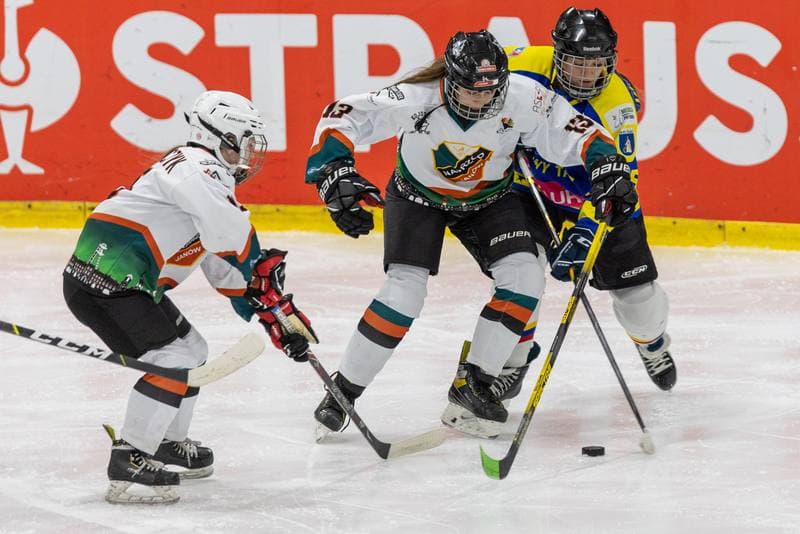 Ice Hockey. PLHK. Kojotki Naprzod Janow - MMKS Podhale Nowy Targ. 12.11.2022