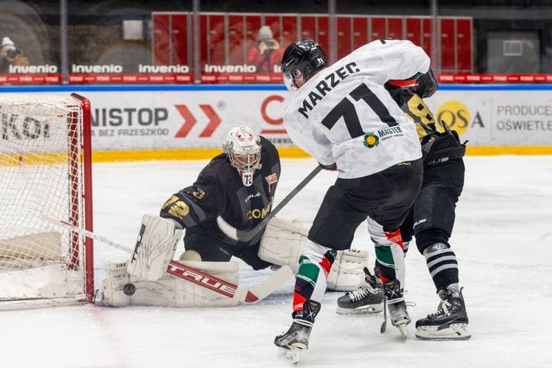 Ice Hockey. PHL. GKS Tychy - Comarch Cracovia. 29.11.2022