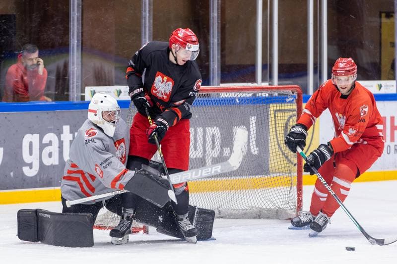 Ice Hockey. Poland national team. Training. 13.12.2022