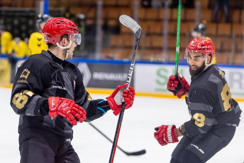 Ice Hockey. Polska Hokej Liga. GKS Katowice - Comarch Cracovia. 22.12.2022
