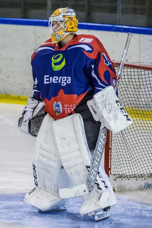 Ice Hockey. Polska Hokej Liga. Naprzod Janow - Energa Torun. 22.09.2019