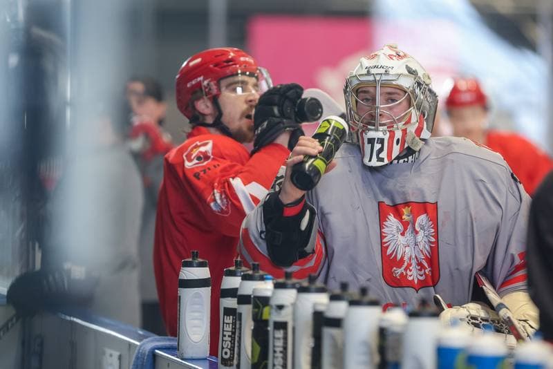 Ice Hockey. Poland national team. Training. 10.04.2023