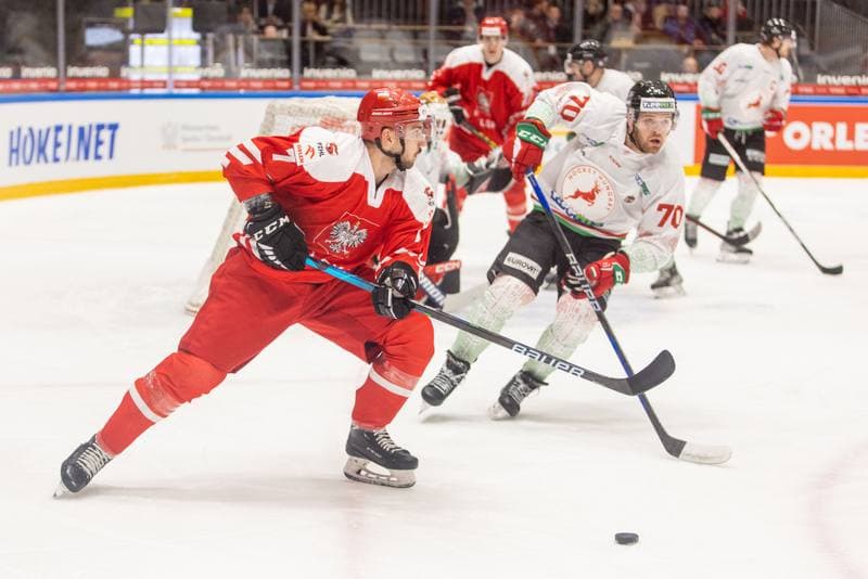 Ice Hockey. Friendly Match. Poland - Hungary. 20.04.2023