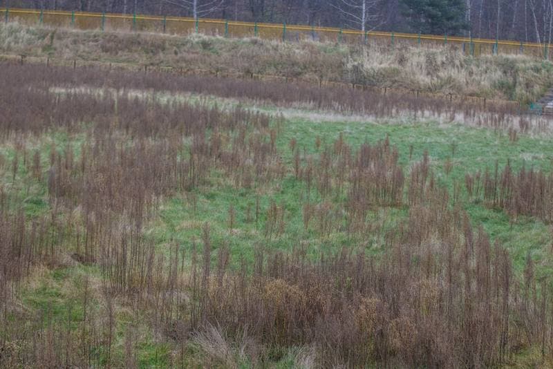 Football. Rozwoj Katowice. Training. 26.11.2020