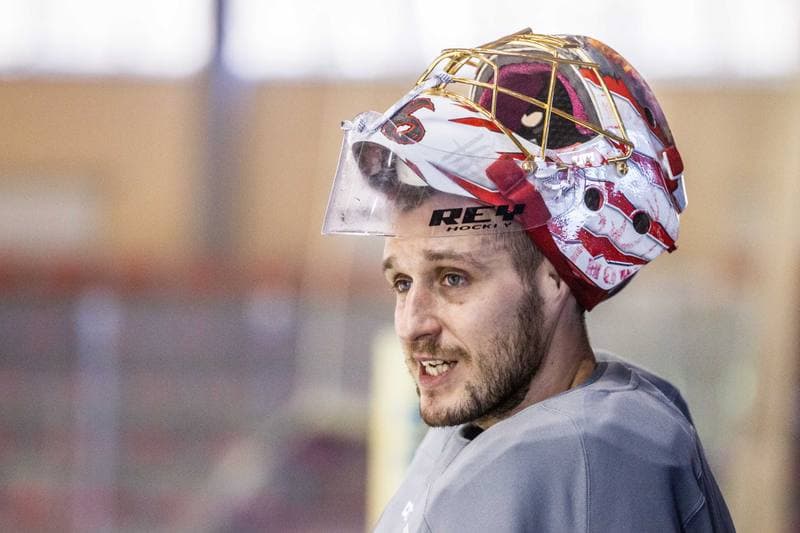 Ice Hockey. Poland national team. Training. 14.12.2020