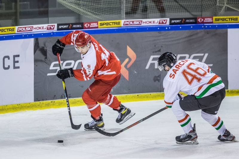 Ice Hockey. Friendly International Match. Poland - Hungary. 17.12.2020