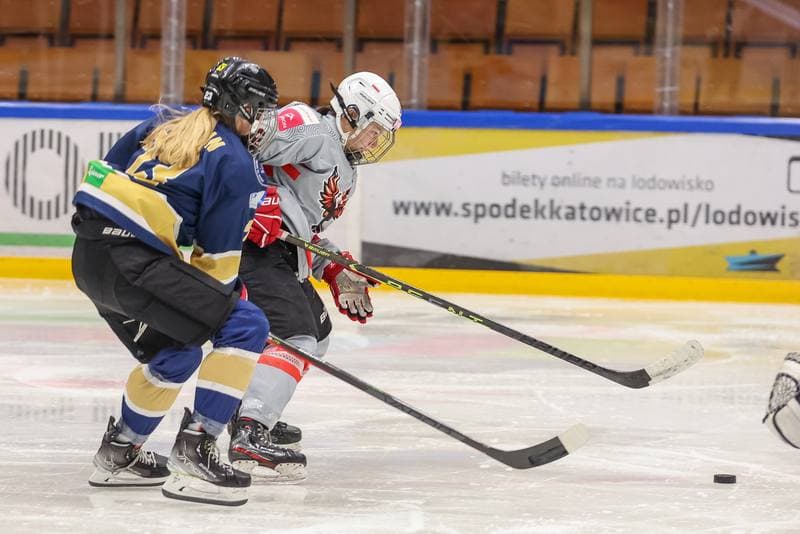 Ice Hockey. EWHL. TAURON Metropolia Silesia - KSV Neuberg Highlanders. 30.09.2023