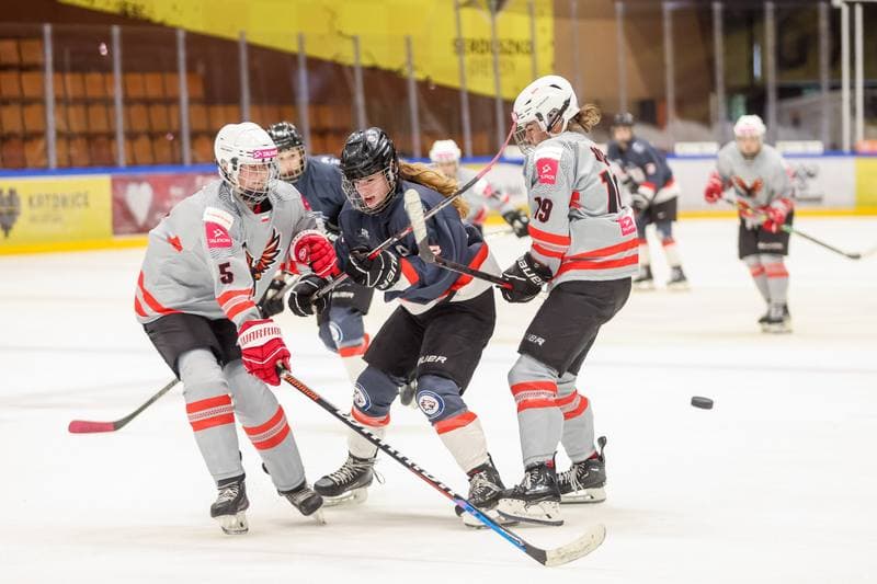 Ice Hockey. EWHL. Tauron Metropolia Silesia - Budapest Jegkorong Akademia. 22.10.2023