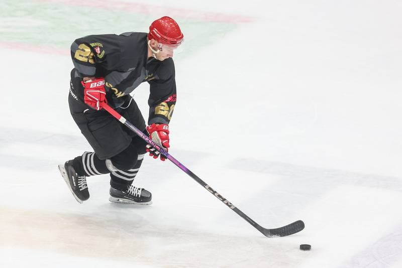 Ice Hockey. Tauron Hokej Liga. Zaglebie Sosnowiec - Comarch Cracovia. 19.11.2023