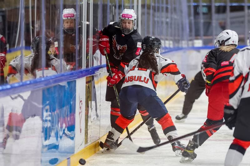 Ice Hockey. EWHL. Tauron Metropolia Silesia - Aisulu Almaty. 26.11.2023