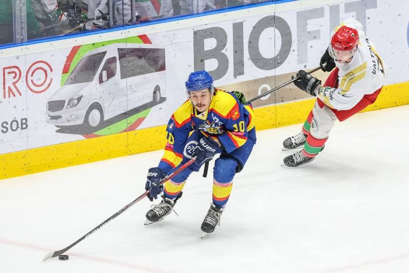 Ice Hockey. Tauron Hokej Liga. Zaglebie Sosnowiec - PZU Podhale Nowy Targ. 03.12.2023