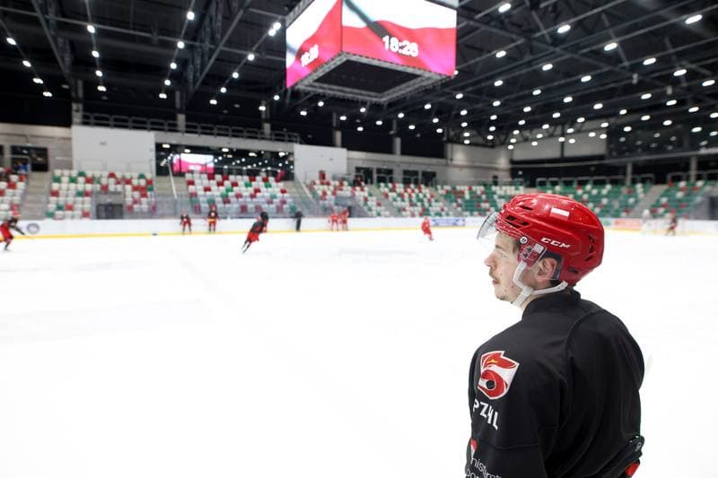 Ice Hockey. Poland national team. Training. 03.02.2024